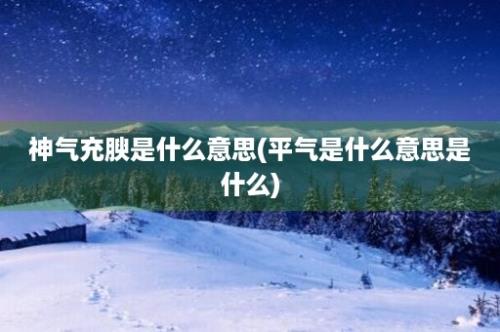 神气充腴是什么意思(平气是什么意思是什么)