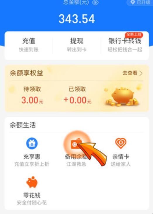 为什么余额里备用金没有