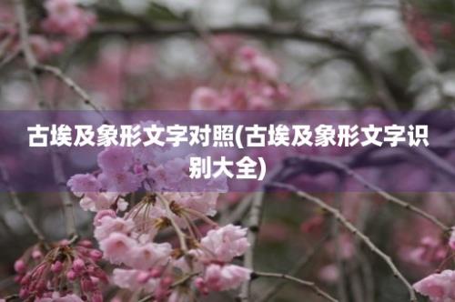 古埃及象形文字对照(古埃及象形文字识别大全)