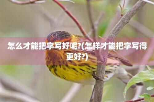 怎么才能把字写好呢?(怎样才能把字写得更好?)