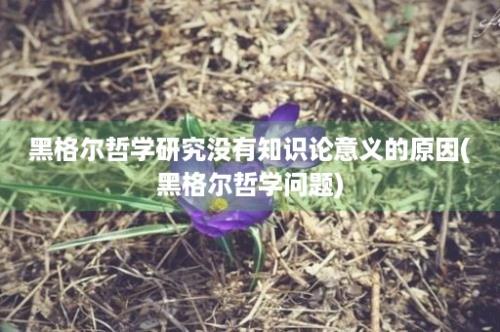 黑格尔哲学研究没有知识论意义的原因(黑格尔哲学问题)