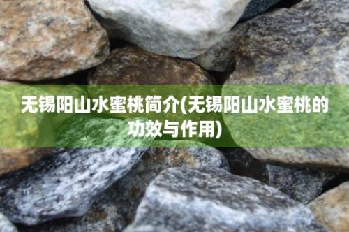 无锡阳山水蜜桃简介(无锡阳山水蜜桃的功效与作用)