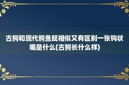 古鳄和现代鳄鱼既相似又有区别一张钩状嘴是什么(古鳄长什么样)