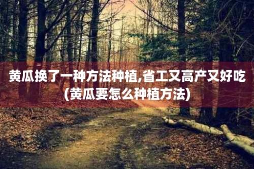 黄瓜换了一种方法种植,省工又高产又好吃(黄瓜要怎么种植方法)