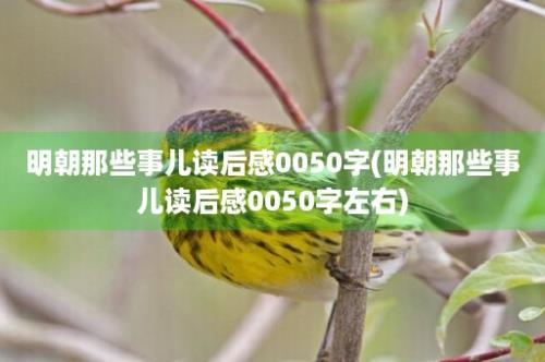 明朝那些事儿读后感0050字(明朝那些事儿读后感0050字左右)