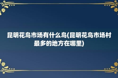 昆明花鸟市场有什么鸟(昆明花鸟市场村最多的地方在哪里)