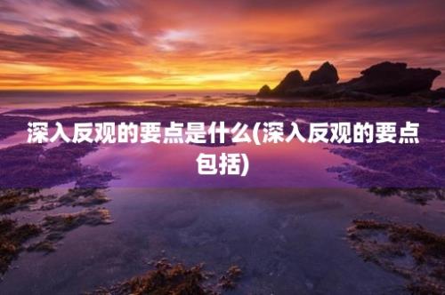 深入反观的要点是什么(深入反观的要点包括)