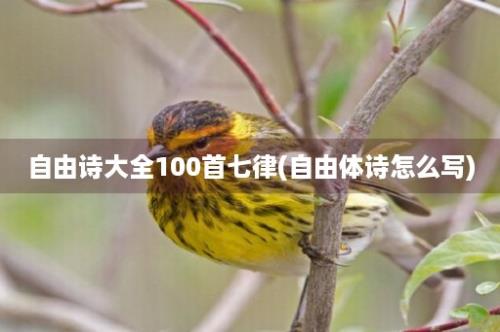 自由诗大全100首七律(自由体诗怎么写)