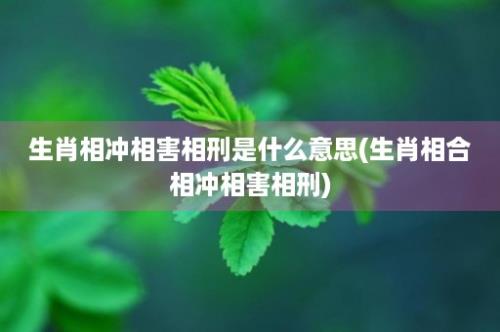 生肖相冲相害相刑是什么意思(生肖相合相冲相害相刑)