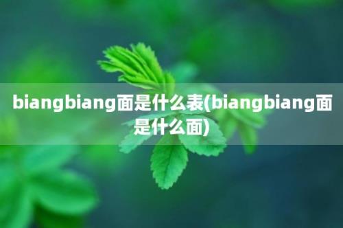 biangbiang面是什么表(biangbiang面是什么面)