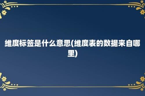 维度标签是什么意思(维度表的数据来自哪里)