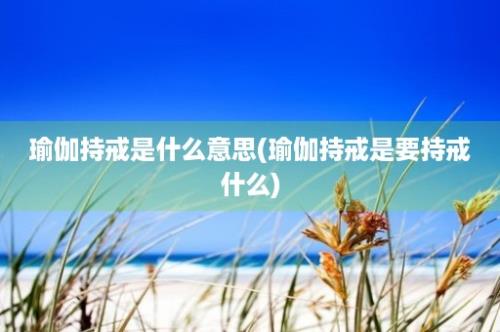 瑜伽持戒是什么意思(瑜伽持戒是要持戒什么)