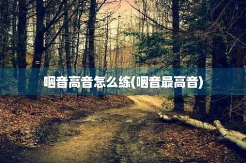 咽音高音怎么练(咽音最高音)