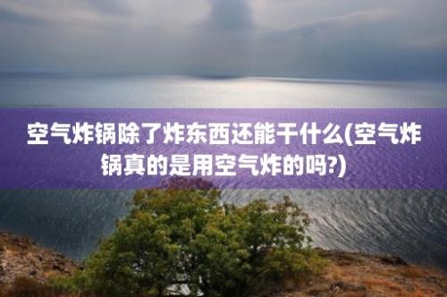 空气炸锅除了炸东西还能干什么(空气炸锅真的是用空气炸的吗?)