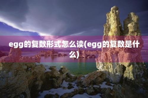 egg的复数形式怎么读(egg的复数是什么)