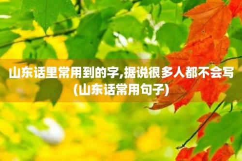 山东话里常用到的字,据说很多人都不会写(山东话常用句子)