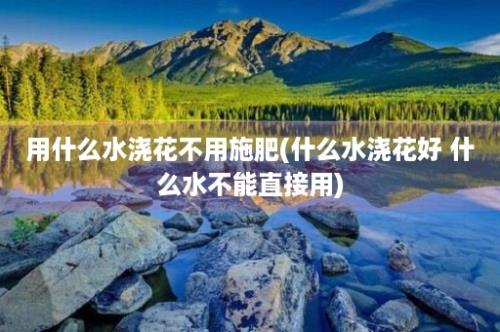 用什么水浇花不用施肥(什么水浇花好 什么水不能直接用)