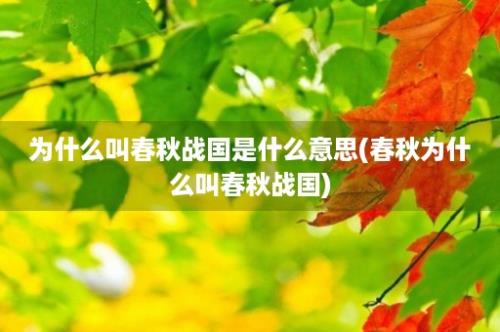 为什么叫春秋战国是什么意思(春秋为什么叫春秋战国)