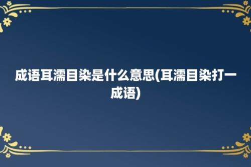 成语耳濡目染是什么意思(耳濡目染打一成语)