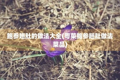 鲍参翅肚的做法大全(粤菜鲍参翅肚做法菜品)