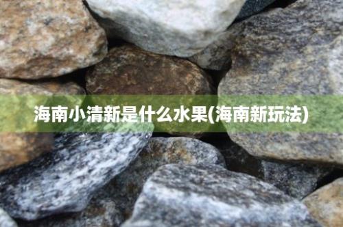 海南小清新是什么水果(海南新玩法)