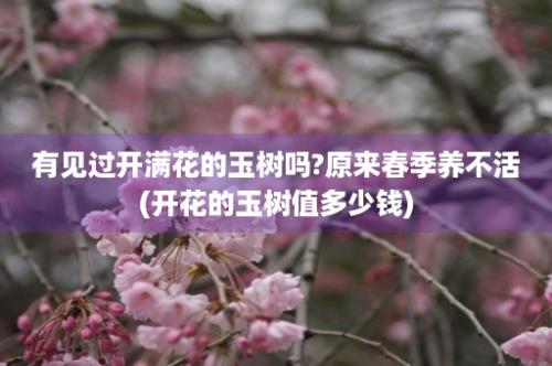 有见过开满花的玉树吗?原来春季养不活(开花的玉树值多少钱)