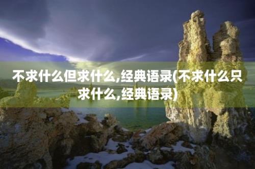 不求什么但求什么,经典语录(不求什么只求什么,经典语录)