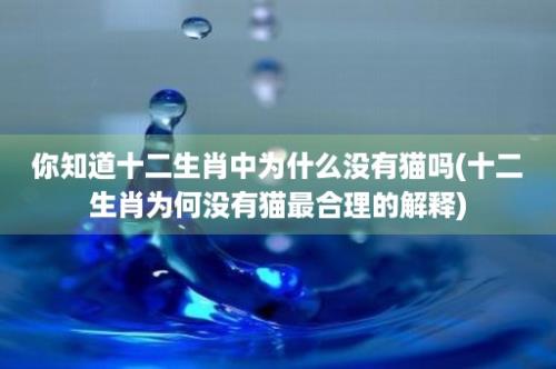 你知道十二生肖中为什么没有猫吗(十二生肖为何没有猫最合理的解释)