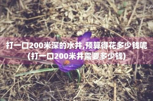 打一口200米深的水井,预算得花多少钱呢(打一口200米井需要多少钱)