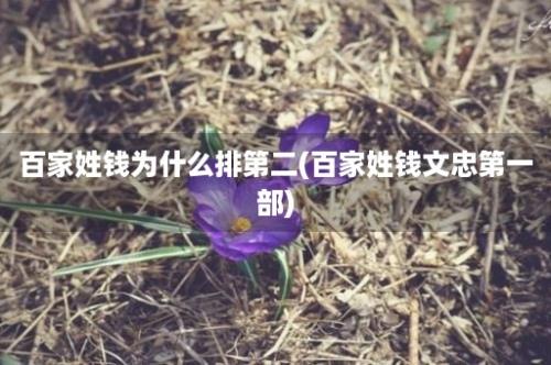 百家姓钱为什么排第二(百家姓钱文忠第一部)