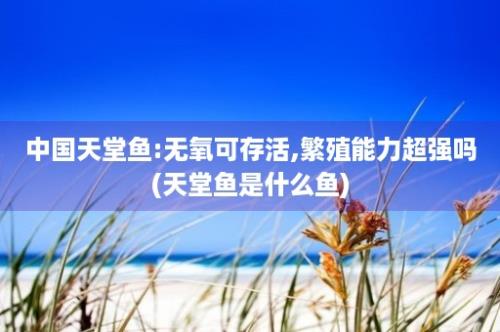 中国天堂鱼:无氧可存活,繁殖能力超强吗(天堂鱼是什么鱼)