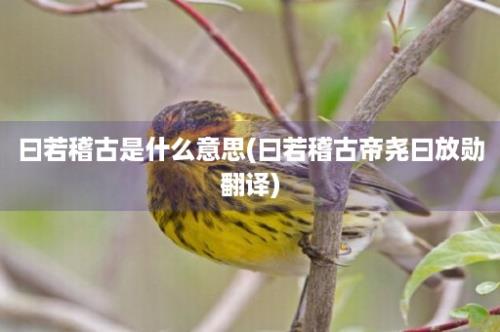 曰若稽古是什么意思(曰若稽古帝尧曰放勋翻译)