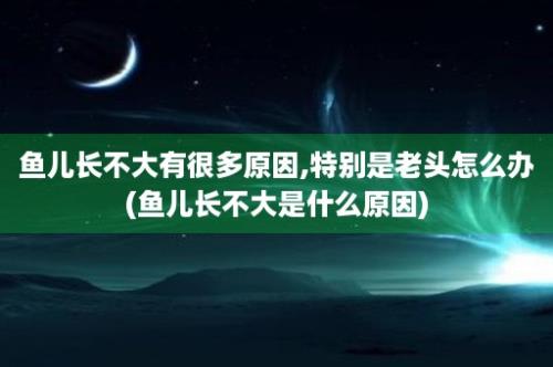 鱼儿长不大有很多原因,特别是老头怎么办(鱼儿长不大是什么原因)