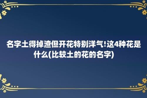 名字土得掉渣但开花特别洋气!这4种花是什么(比较土的花的名字)