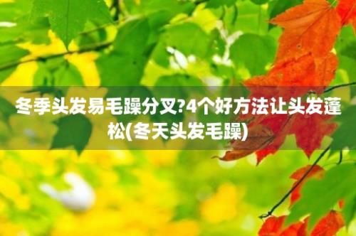 冬季头发易毛躁分叉?4个好方法让头发蓬松(冬天头发毛躁)