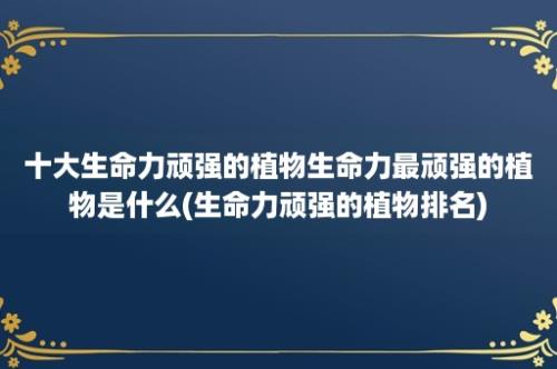 十大生命力顽强的植物生命力最顽强的植物是什么(生命力顽强的植物排名)