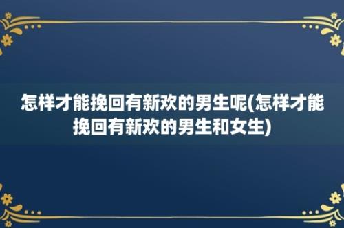 怎样才能挽回有新欢的男生呢(怎样才能挽回有新欢的男生和女生)