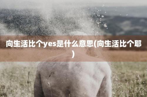 向生活比个yes是什么意思(向生活比个耶)