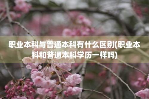 职业本科与普通本科有什么区别(职业本科和普通本科学历一样吗)