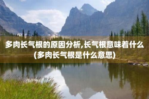 多肉长气根的原因分析,长气根意味着什么(多肉长气根是什么意思)