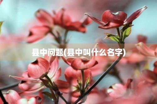 县中问题(县中叫什么名字)