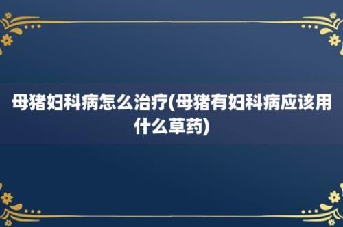 母猪妇科病怎么治疗(母猪有妇科病应该用什么草药)