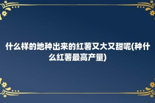 什么样的地种出来的红薯又大又甜呢(种什么红薯最高产量)