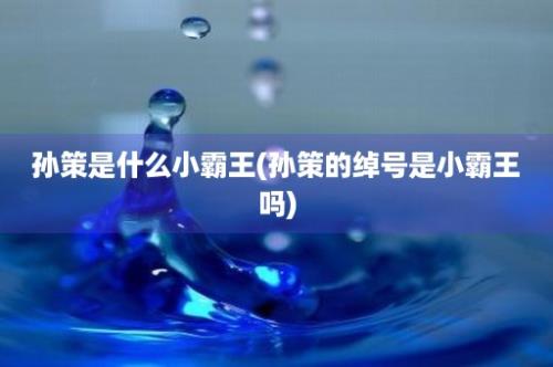 孙策是什么小霸王(孙策的绰号是小霸王吗)