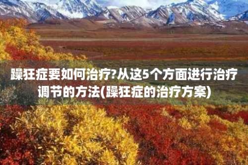 躁狂症要如何治疗?从这5个方面进行治疗调节的方法(躁狂症的治疗方案)