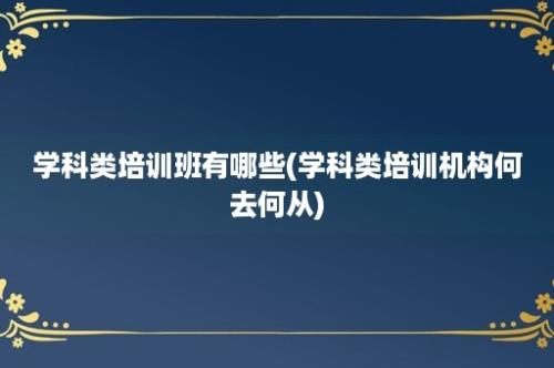 学科类培训班有哪些(学科类培训机构何去何从)