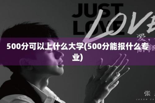 500分可以上什么大学(500分能报什么专业)