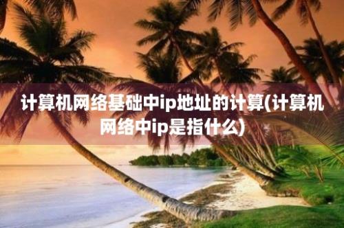 计算机网络基础中ip地址的计算(计算机网络中ip是指什么)