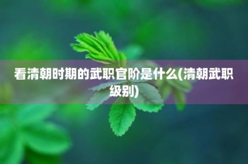 看清朝时期的武职官阶是什么(清朝武职级别)