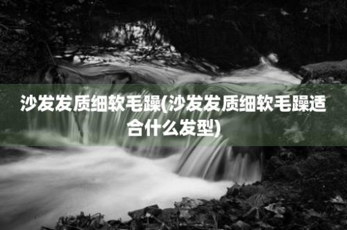 沙发发质细软毛躁(沙发发质细软毛躁适合什么发型)